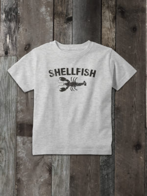 boys short sleeve 100% cotton t-shirt